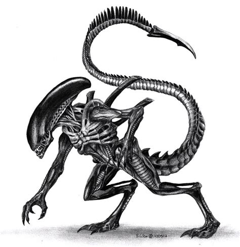 Xenomorph by Glaiceana on DeviantArt