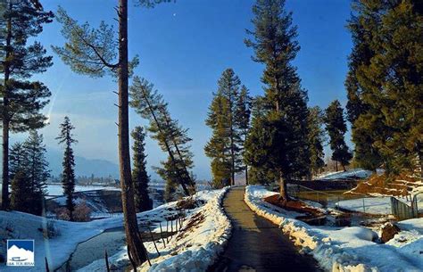 Kashmir Gets Its 1st Snowfall Of The Season & These Dreamy Pics Will ...