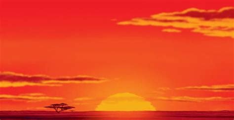 A Lion King Sunrise | Lion king, Lion king pictures, All disney movies