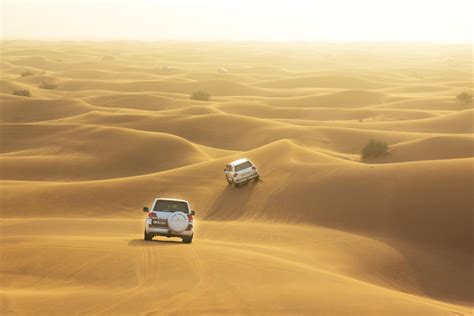 Desert Safari Dubai | Activities in Dubai | Visit Dubai