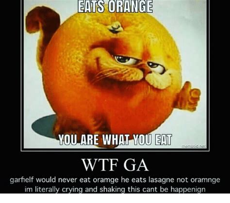 garfield no | Funny laugh, Garfield, Funny memes