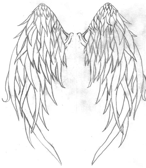 Phoenix Wings Drawing at GetDrawings | Free download