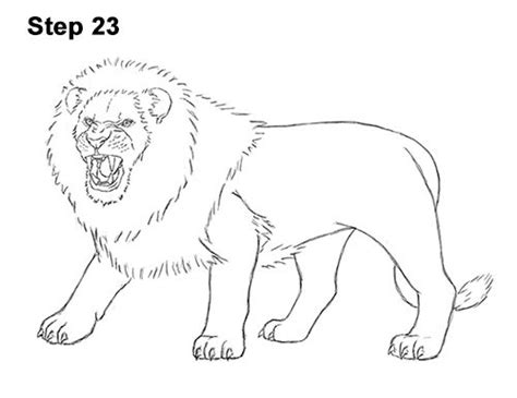 Lion Roaring Drawing 23 | Lion coloring pages, Scary lion, Lion drawing