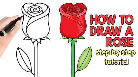 How to Draw a Rose - step by step drawing tutorial - YouTube