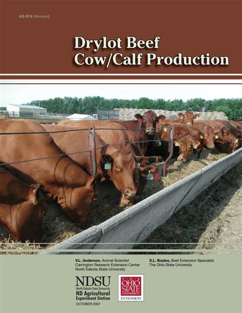 (PDF) Beef cow-calf production