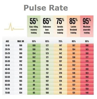 Management solutions insurance: Pulse rate for seniors