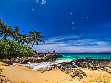 Maui Hawaii Makena Cove Beach (Secret Beach) Wallpaper - Free Download | Clint Losee Photography