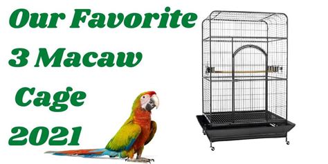 3 Best Macaw Cages ( Our Favorites in 2024) | Hutch and Cage