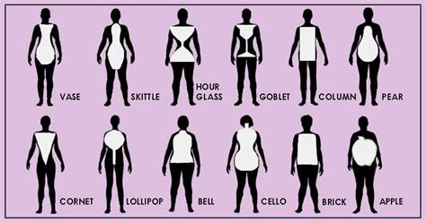 Body Shape Calculator, Body Shape Guide, Face Shapes, Body Shapes, Sissy Maid Training, Passion ...