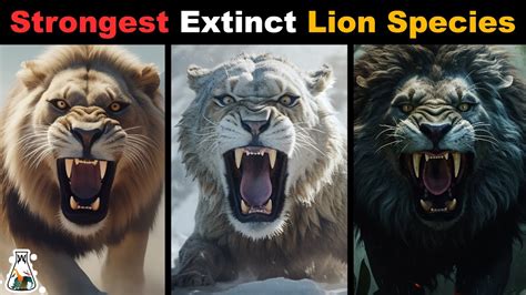 6 Most Powerful Extinct Lion Species - YouTube