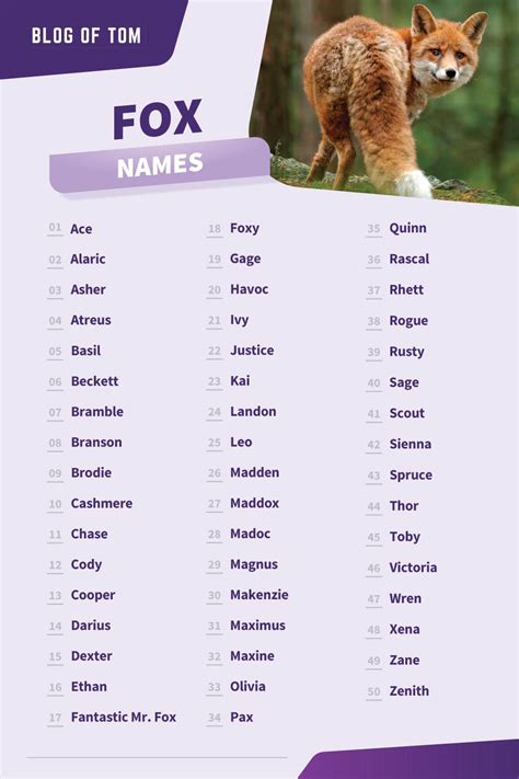 807+ Fox Names (BEST, Cute & Cool Ideas For 2024!)