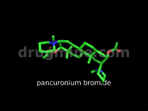 pancuronium-bromide