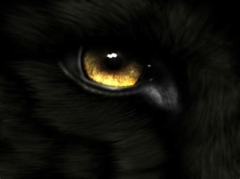 Animal Eye Wallpaper