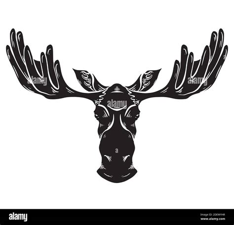 Black silhouette of a moose head with antlers front view with hatching ...