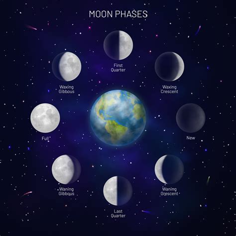 What Causes Moon Phases? (+ All 8 Moon Phases Explained)