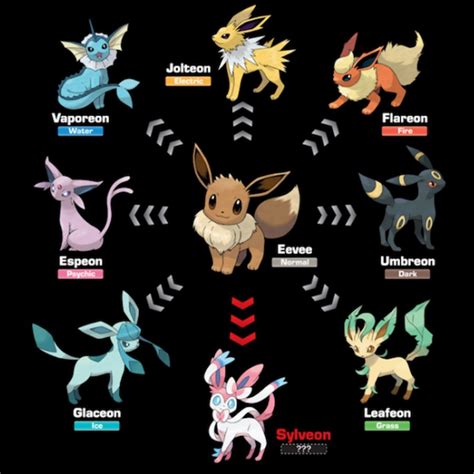 [TIPS] Easy Way to Evolve Eevee in Pokemon Go | All About Pokemon GO