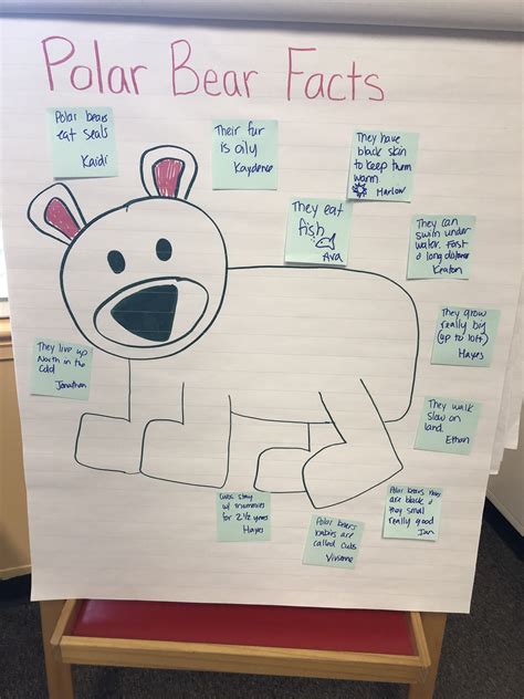 Polar bear facts anchor chart for pre-k | Winter activities preschool, Arctic animals preschool ...