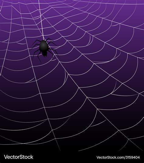 Spider webs on purple background Royalty Free Vector Image