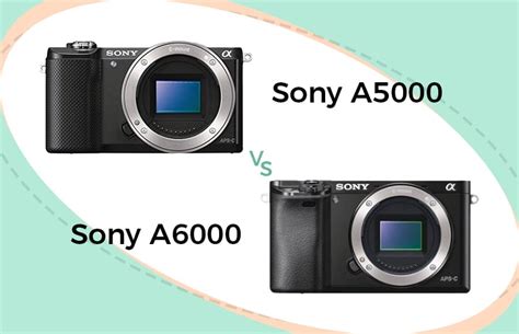 Sony a5000 vs a6000 | Camera Comparison (UPDATED)