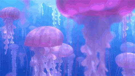 Finding Nemo Jellyfish Scene