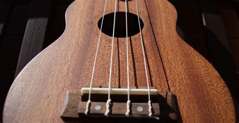 Best Ukulele Strings - A Complete Guide