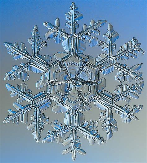 From Wikiwand: Macro image of a snowflake showing its fragile ice crystal structure ...