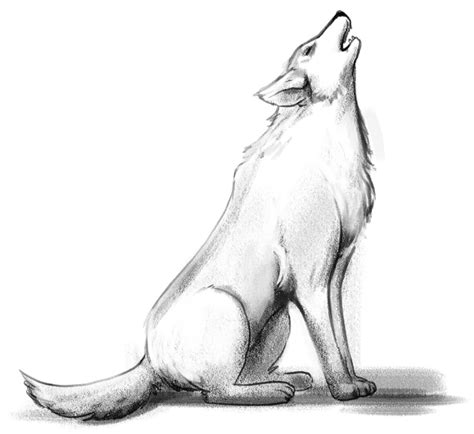 Wolf Drawing In 5 Steps: Beginners’ Guide [Video + Images]