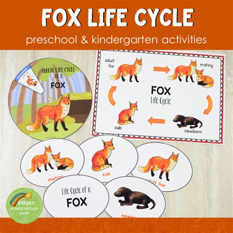 Fox Life Cycle Activity Set – Pinay Homeschooler Shop