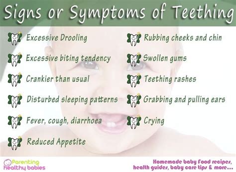 when do babies start teething and what are the symptoms - Micah Morse