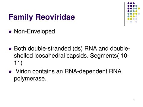 PPT - Double-Stranded RNA Viruses PowerPoint Presentation, free download - ID:6045828