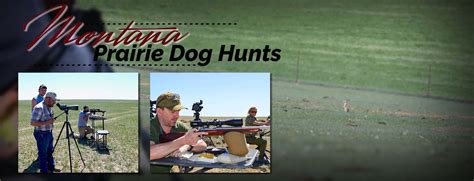 Prairie dog hunting | Prairie dog hunt | Prairie dog guide