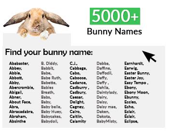 Girl Bunny Names That Start With H | Baby Girls Names