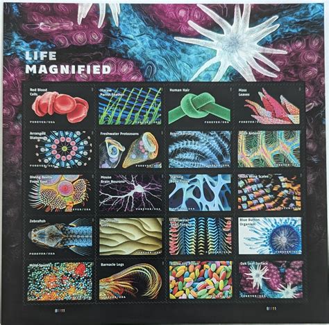 Life Magnified (USPS) 2023 20 Forever Stamp Sheet - Sheets