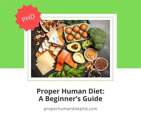 Proper Human Diet: A Beginner's Guide