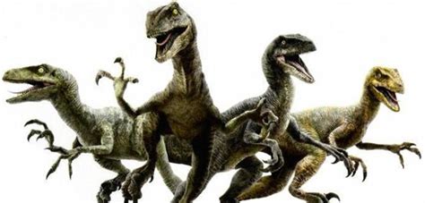 Chris Pratt Names His Raptors In New Jurassic World TV Spot