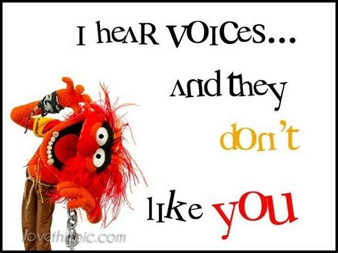 Pin by Celina Hernandez on Muppets | Muppets funny, Animal muppet, Funny quotes