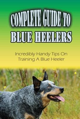 Complete Guide To Blue Heelers: Incredibly Handy Tips On Training A Blue Heeler: Blue Heeler ...