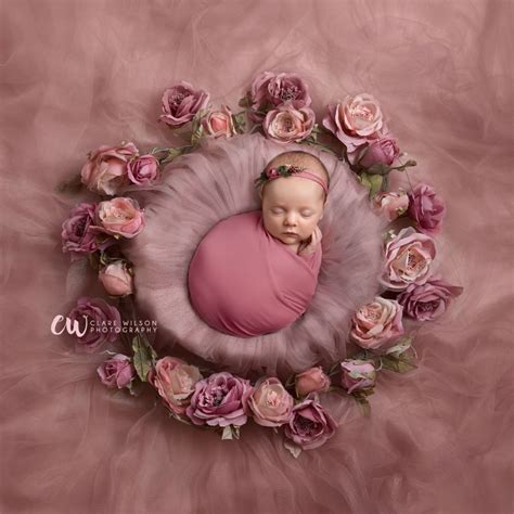 Pink roses digital background for newborn photography | Baby girl newborn pictures, Newborn ...