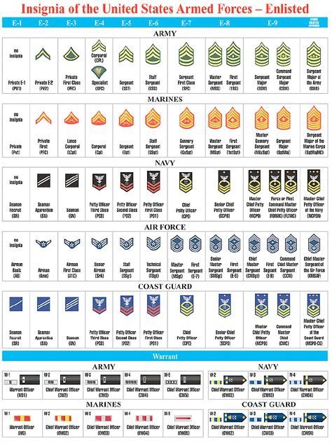 15 Military Rank Structure ideas | ranking, military ranks, military