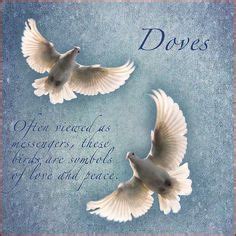 Doves from Heaven on Pinterest | Pigeon, Peace and Happy Birthday Mom