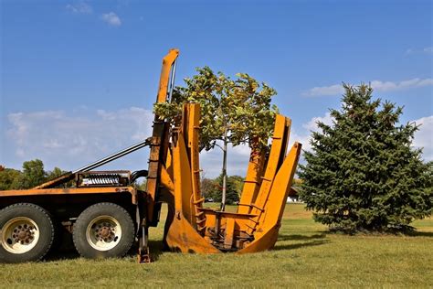 Why Choose a Professional Service for Tree Removal - Walser Tree Service, LLC - Tyro | NearSay