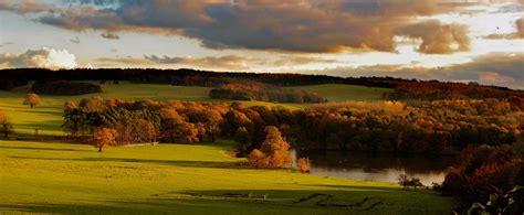 Tree Story – Harewood House