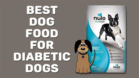 10 Best Dog Food For Diabetic Dogs [2021] - Petmoo