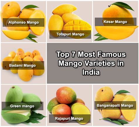 Top 7 Most Famous Export Varieties of Mango in India