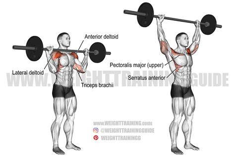 Effective Shoulder Press Exercises for Stronger Shoulders