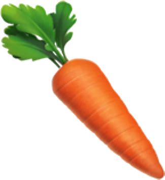 Carrot PNG Vector Images with Transparent background - TransparentPNG