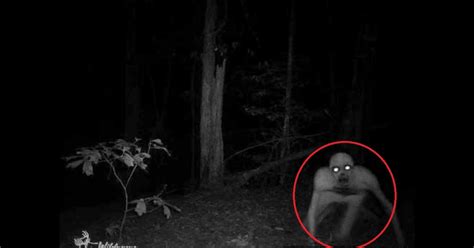 The Fortean Slip: 5 REAL Sightings of The Rake