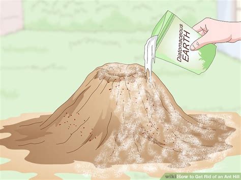 4 Easy Ways to Get Rid of an Ant Hill - wikiHow