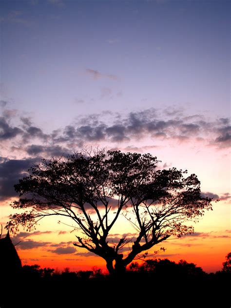 Free Images : nature, horizon, cloud, sunrise, sunset, field, sunlight ...