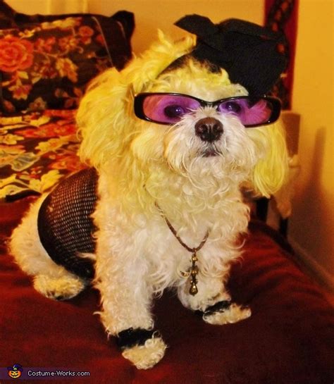 80s Madonna Dog's Costume | DIY Costumes Under $25